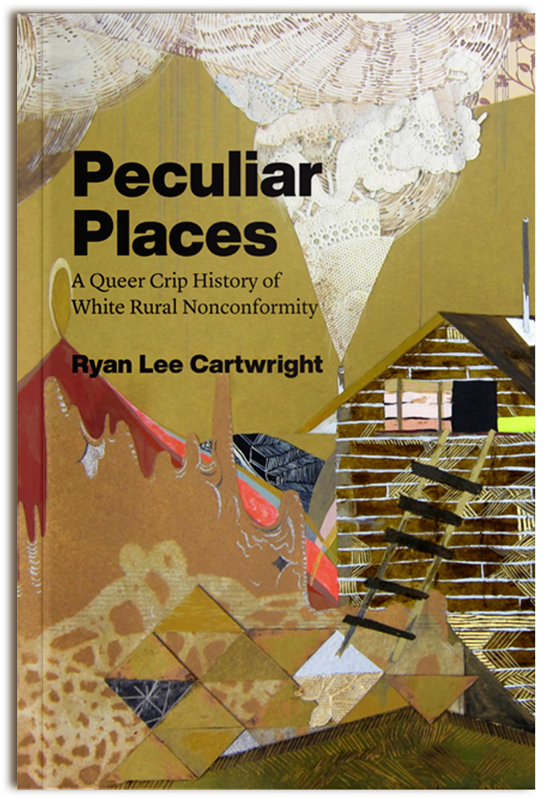 Book cover of Peculiar Places by Ryan Lee Cartwright